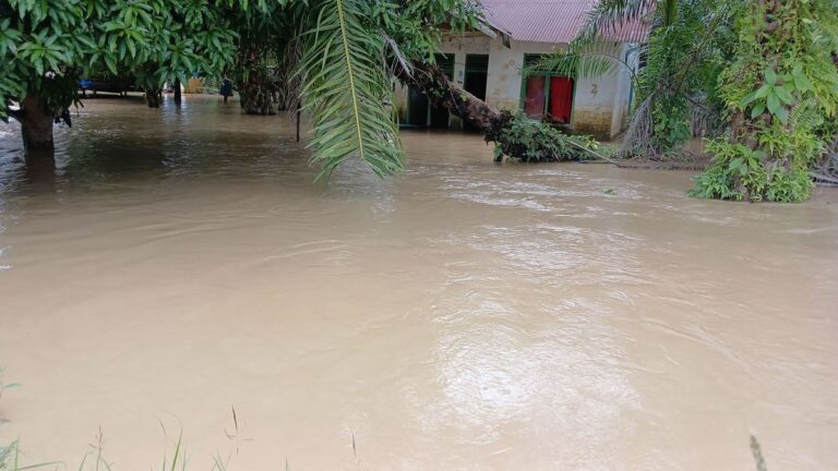 Warga Bantaran Sungai Ciliwung Diminta Waspada, Pos Pantau Depok Siaga 1