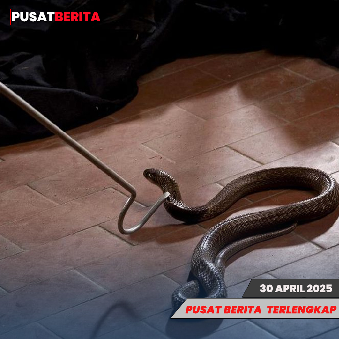 TEMPLATE PUSAT4 BERITA (1)