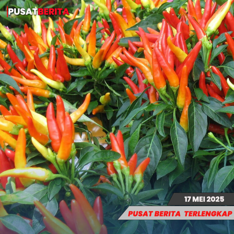 TEMPLATE PUSAT4 BERITA (1)
