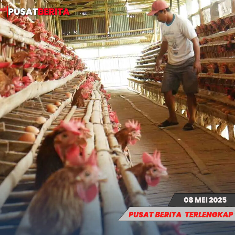 TEMPLATE PUSAT4 BERITA (1)
