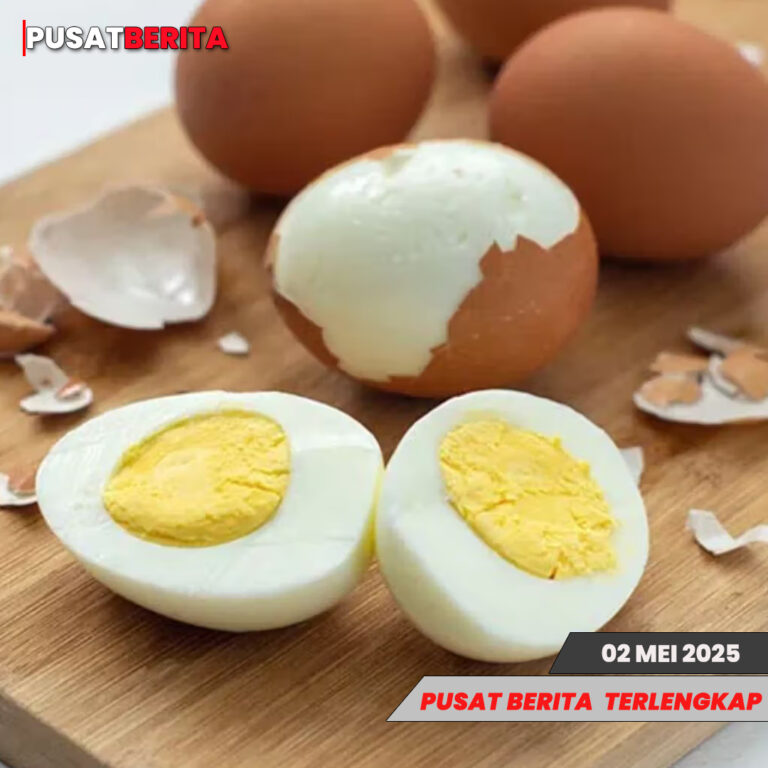 TEMPLATE PUdietSAT4 BERITA copy 1 MEI