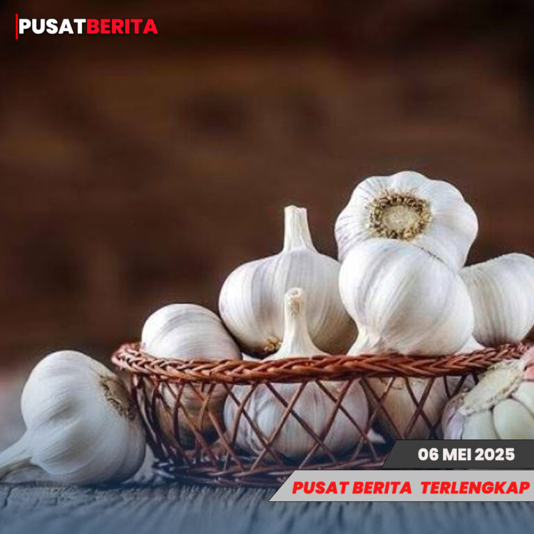 bawang putih