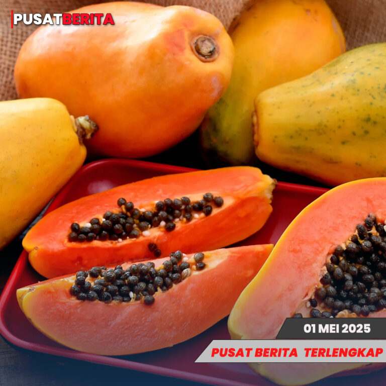 biji pepaya