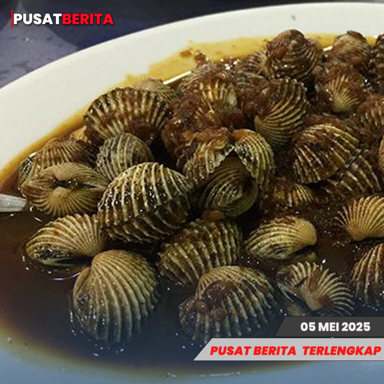 kerang asia