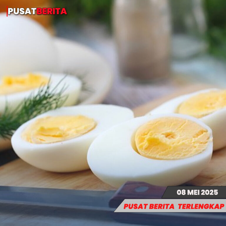 rebus telur