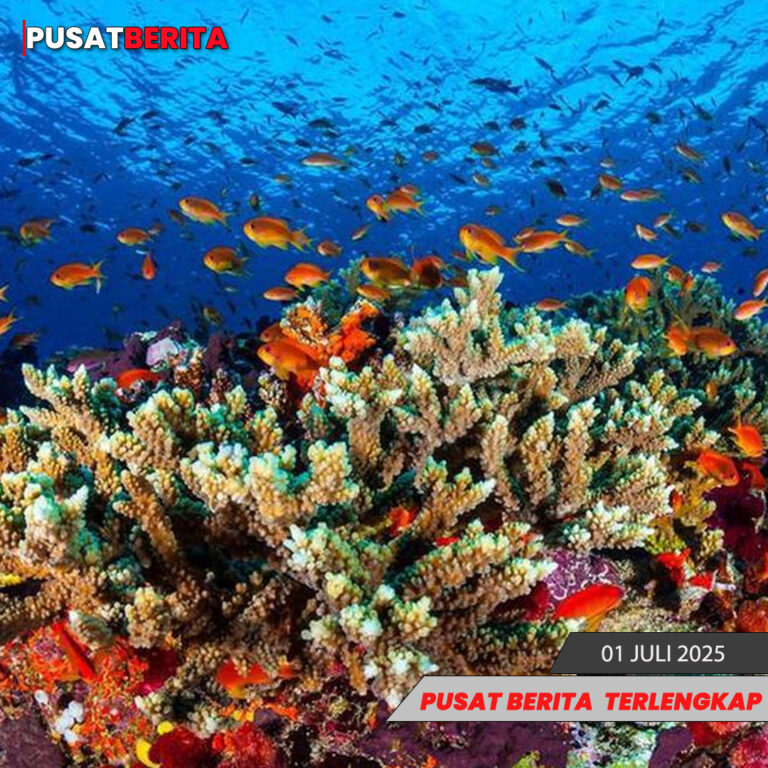 TEMPLATE PUSAT4 BERITA (2)