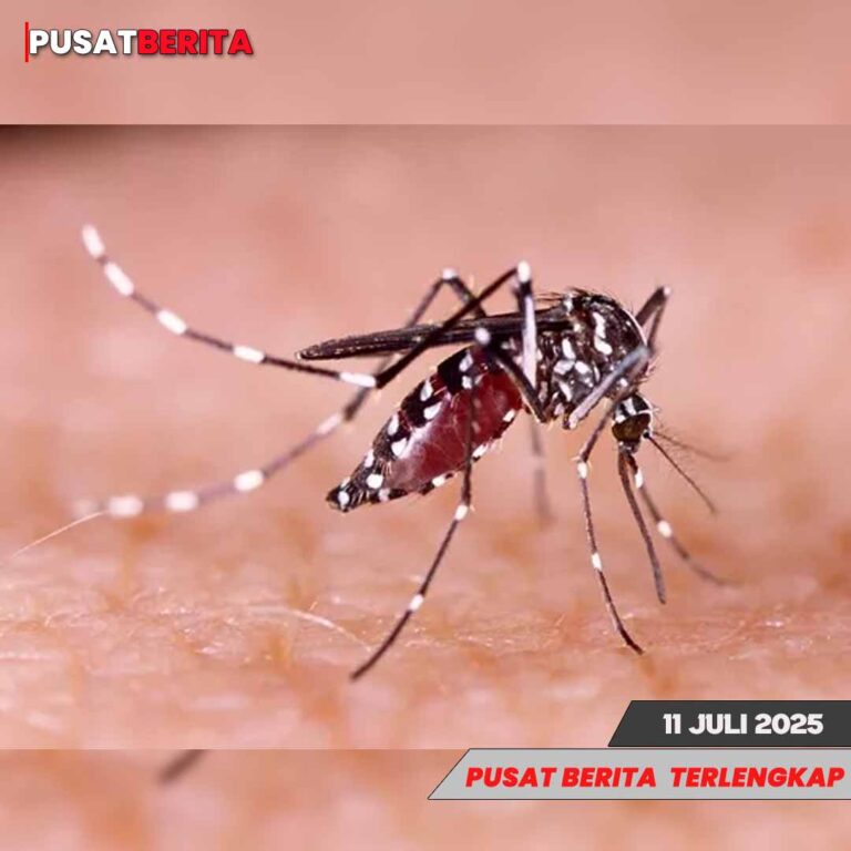 TEMPLATE PUSAT4 BERITA