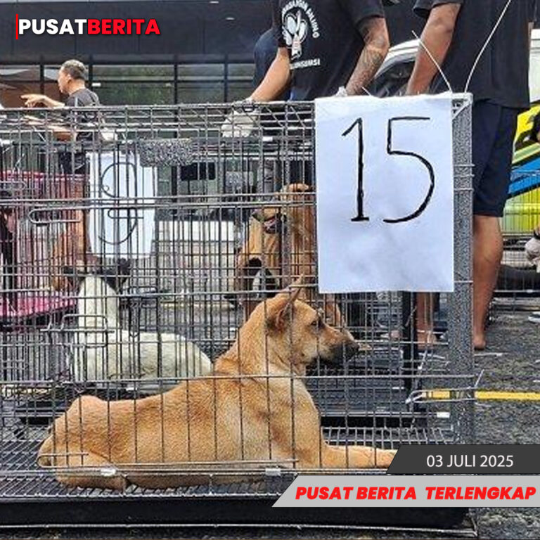 TEMPLATE PUSAT4 BERITA (2)-Recovered
