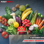 TEMPLATE PUSAT4 BERITA-Recovered d