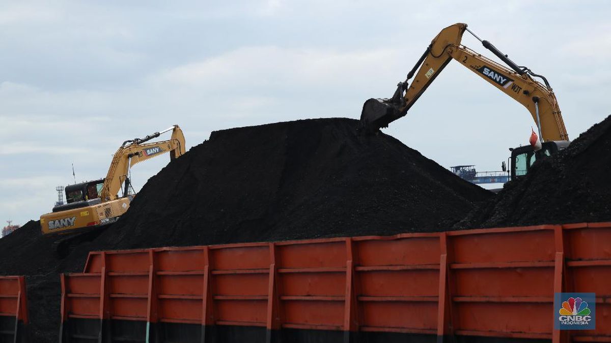 aktivitas-bongkar-muat-batu-bara-10_169