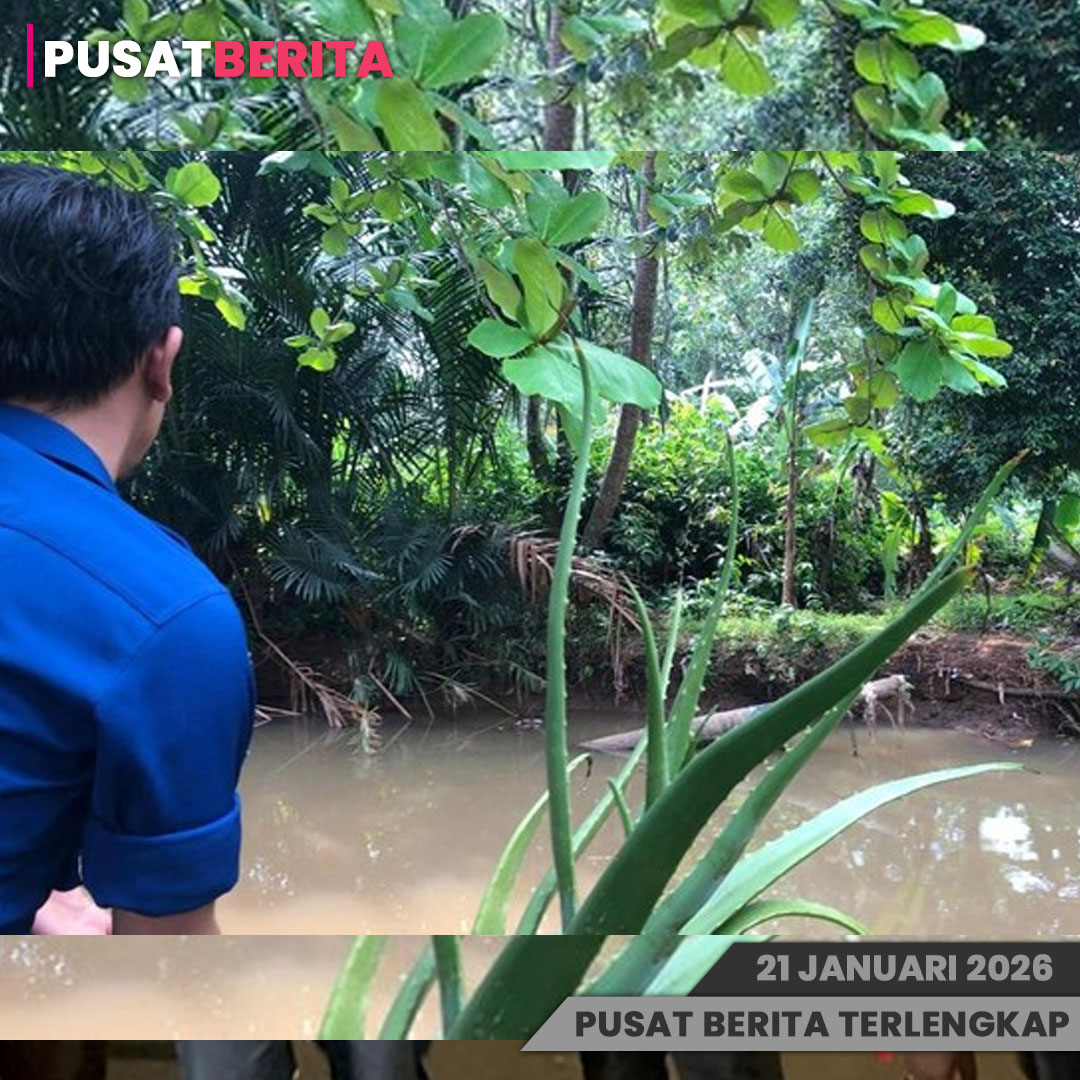 PSD BERITA MAFIA (2)