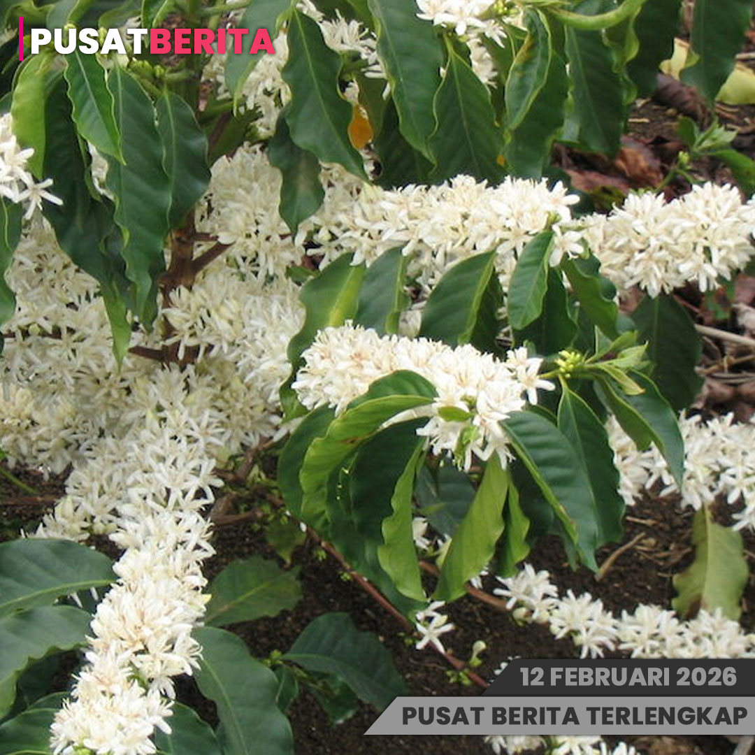 PSD BERITA MAFIA (2) copy