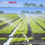 PSD BERITA MAFIA (2) copy