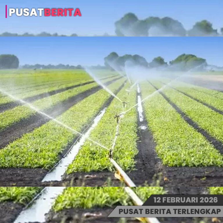 PSD BERITA MAFIA (2) copy