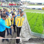 PSD BERITA MAFIA copy