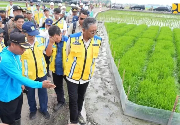 PSD BERITA MAFIA copy