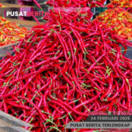 PSD BERITA MAFIA copy