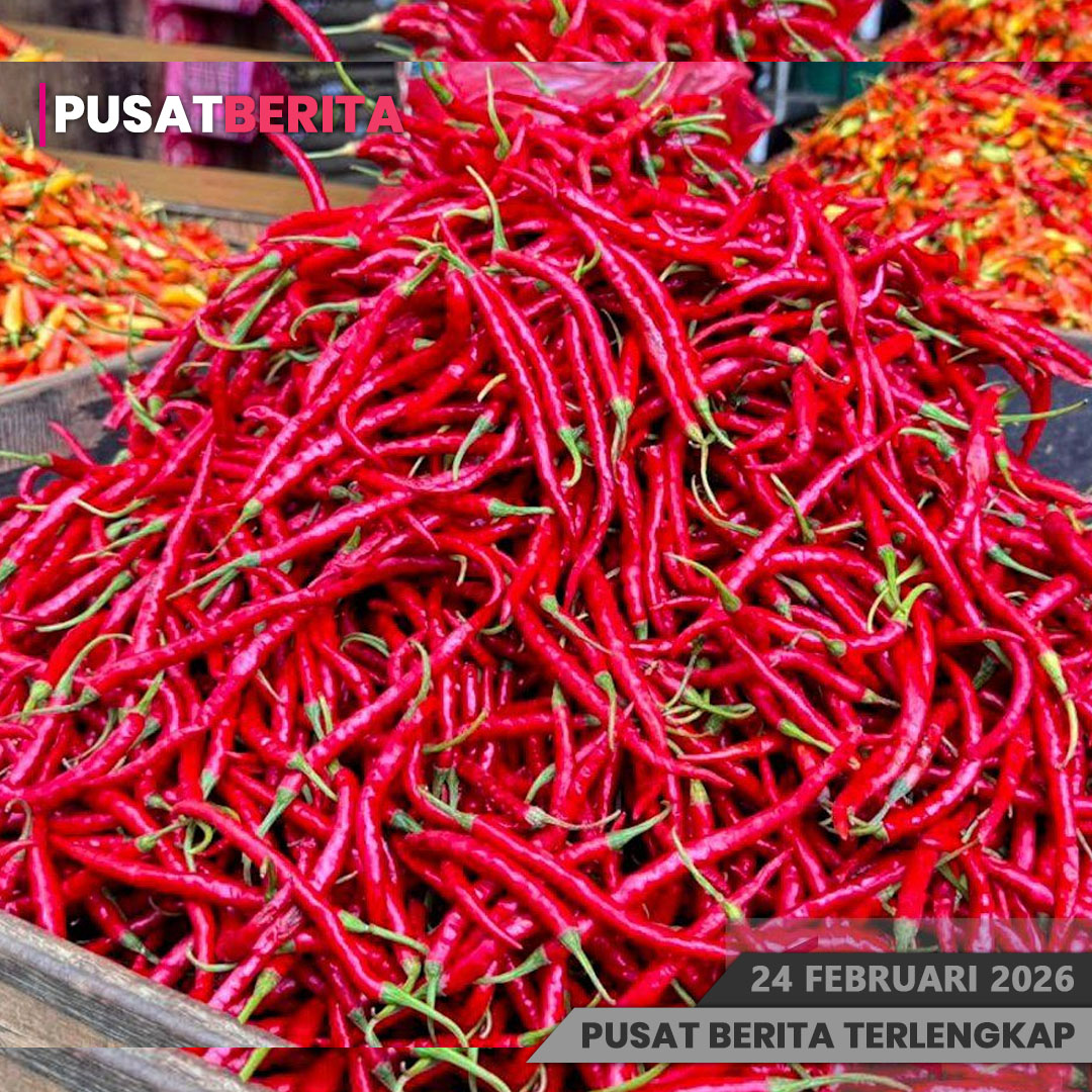 PSD BERITA MAFIA copy