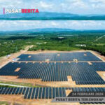 PSD BERITA MAFIA copy