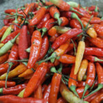 PSD BERITA MAFIA copy