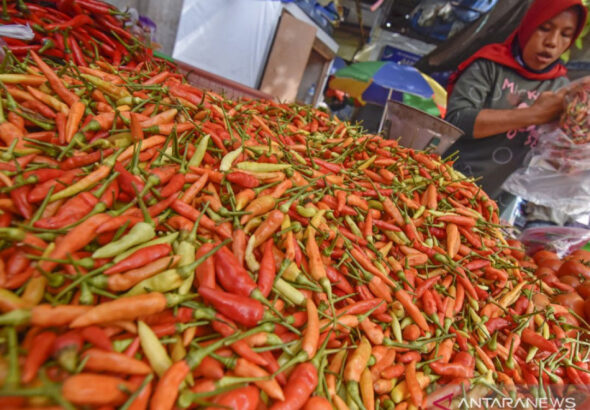 PSD BERITA MAFIA copy-Recovered