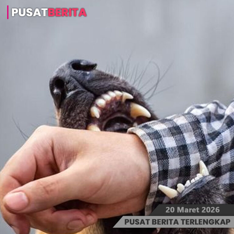 PSD BERITA MAFIA copy-Recovered copy