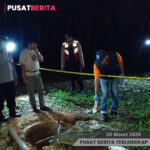 PSD BERITA MAFIA copy-Recovered copy