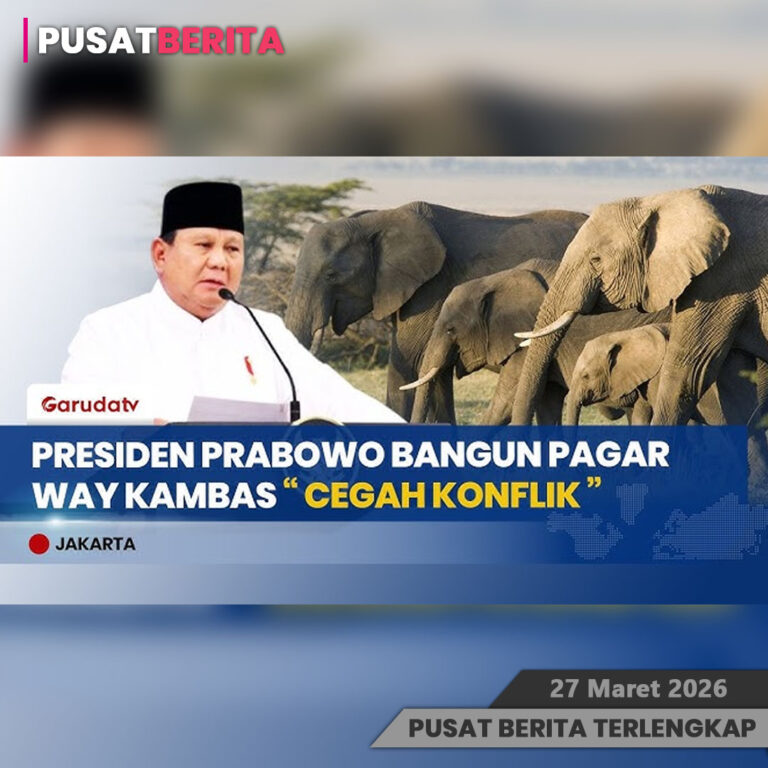 PSD BERITA MAFIA copy-Recovered copy