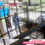 PUSAT BERITA PSD