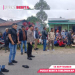 PUSAT BERITA PSD-Recovered