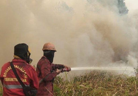 PUSAT BERITA PSD-Recovered