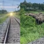 pria_hentikan_kereta-BU13_large