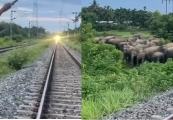 pria_hentikan_kereta-BU13_large