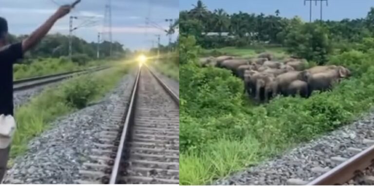 pria_hentikan_kereta-BU13_large